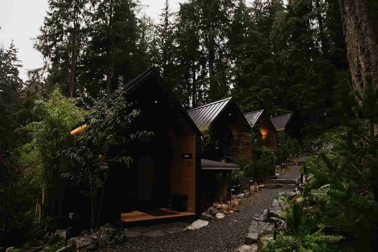 Mist Thermal Sanctuary cold plunge surrounded by forest on Bowen Island