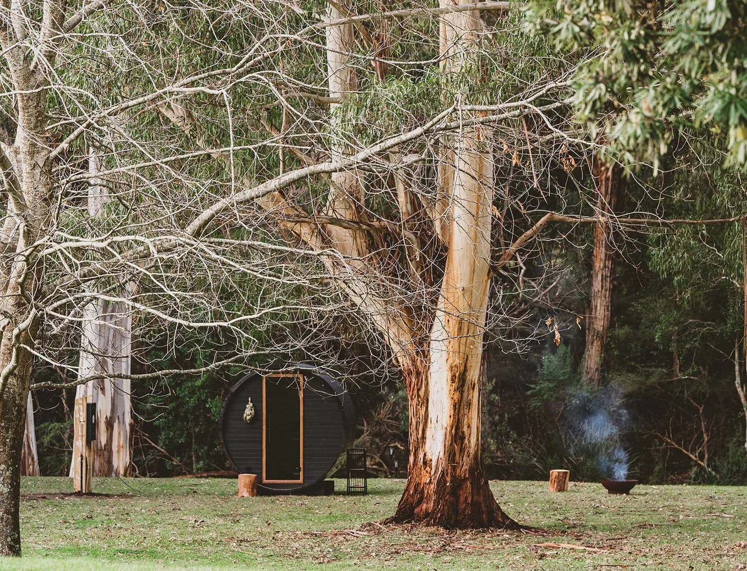 Rivasoul barrel sauna among eucalyptus trees with fire pit at Warburton
