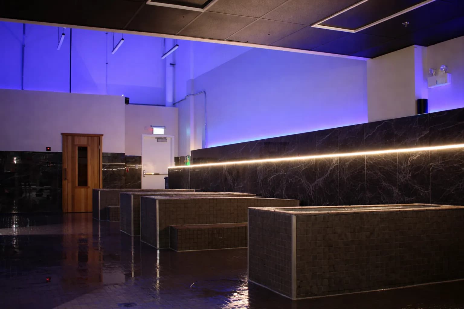 Reviva Lounge cold plunge tubs with blue ambient lighting