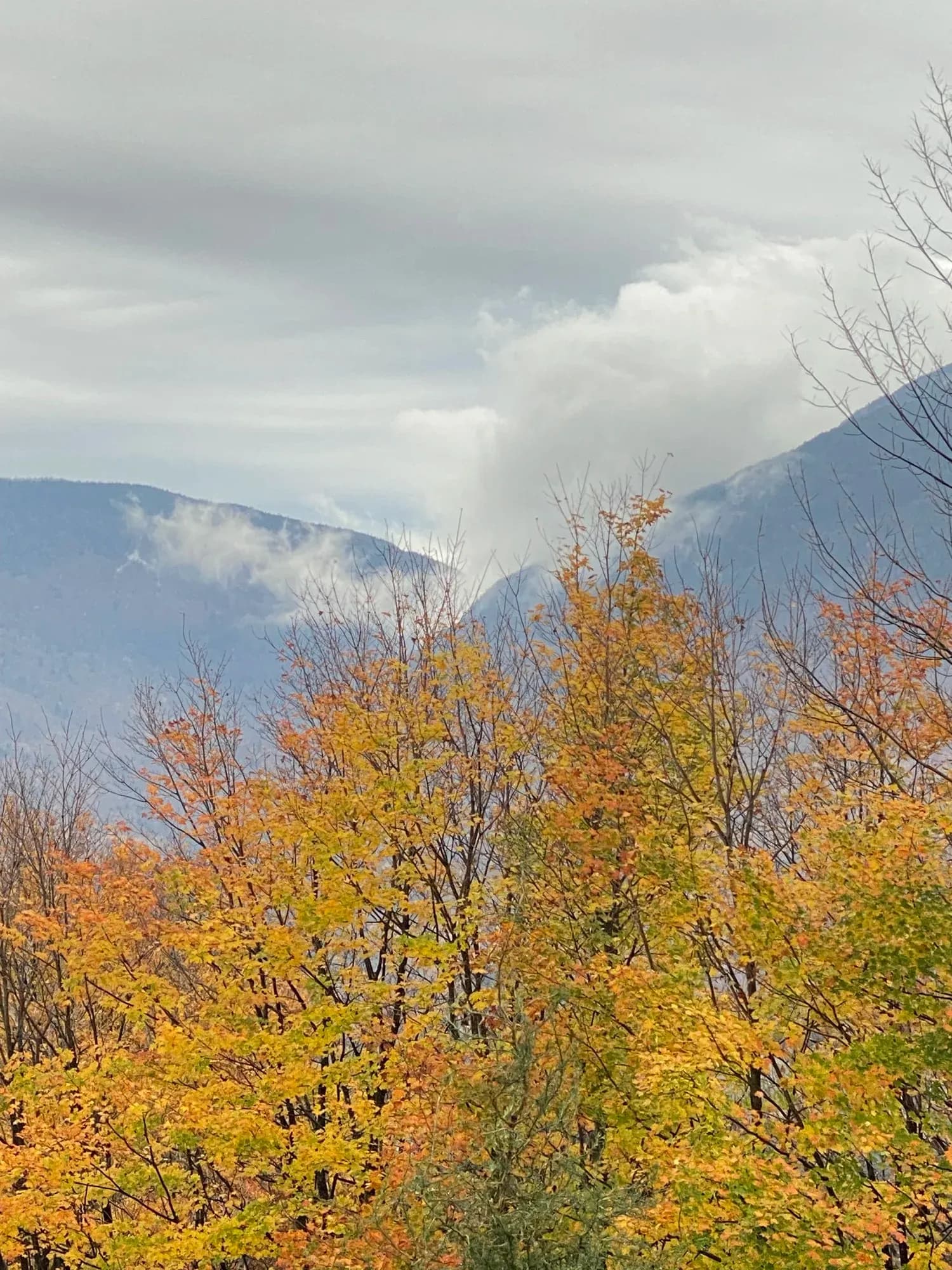 SAVU Smugglers Notch Green Mountain panoramic views
