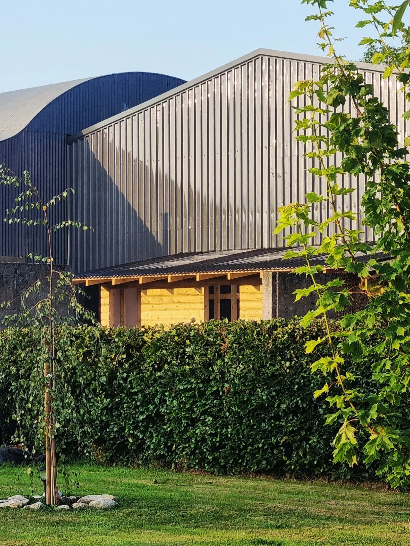 Exterior view of The Goat House Sauna building set among hedgerows and green fields in rural Co. Laois