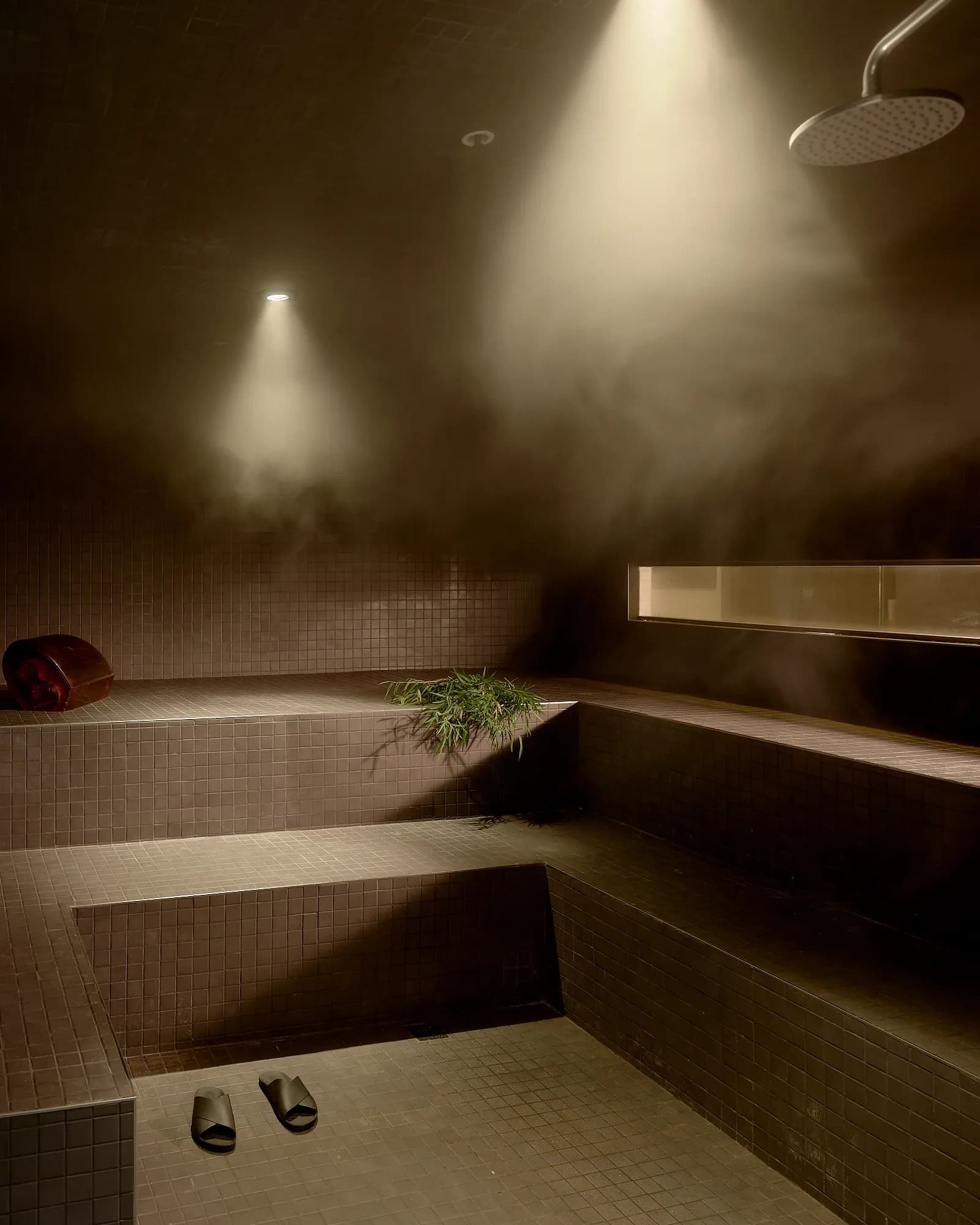 The tiered steam room at Pocketbook Hudson Baths